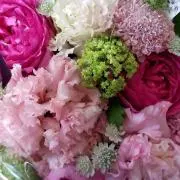 Image of ナナ♡:*