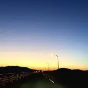 おくらの画像