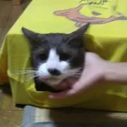 まーみ
