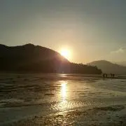 ayの画像