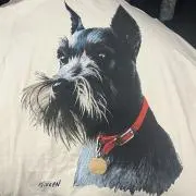 ぱるの画像