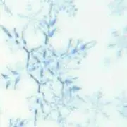 ぬぬるつ