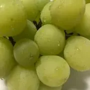 こうみ