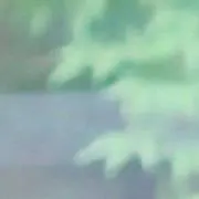 そぉの画像