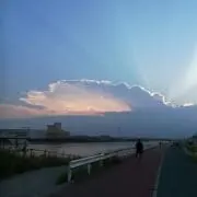 いせきんの画像