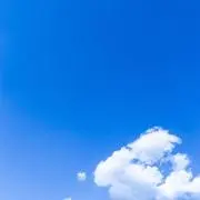 ハトムギの画像