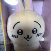 ぴのしんの画像