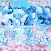 na1128の画像