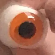 ガラスの腰の画像