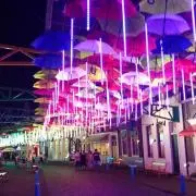 イェドヴァイの画像