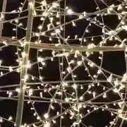 マンナの画像