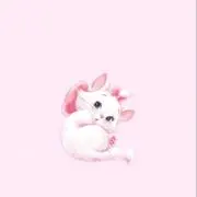 まいひめの画像