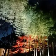 なかとみの画像