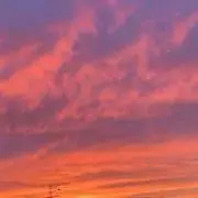 まるこの画像