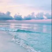 セール！気持ち良いお取引を心がけてます✨の画像
