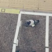 シモン