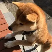 なるる