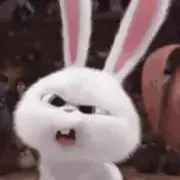 あーさんの画像