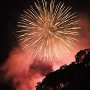 まりあんの画像