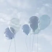 ほくの画像