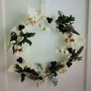 porontaの画像