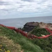ししうっしの画像