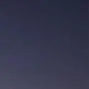烏龍茶の画像