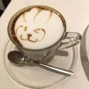 Roccoの画像