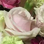 みぃ〜♪♪♪