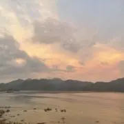 Gummyの画像
