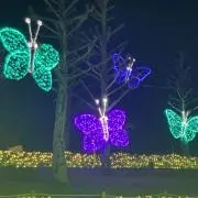すず