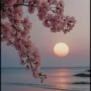 KGKの画像