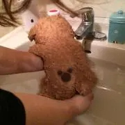 おまさ