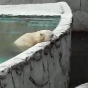 あんこ玉