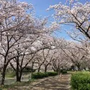 すぅママ★の画像