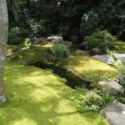はなちゃんの画像