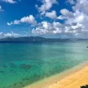 mの画像