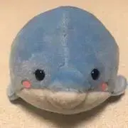 Spicaの画像