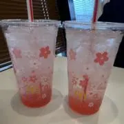 こきんの画像