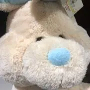 chimoの画像