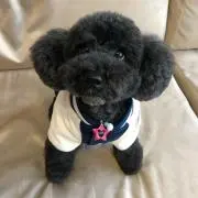 ちはるの画像