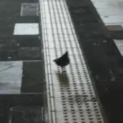 まそまそ