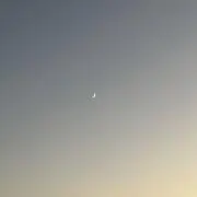 ピーナッツの画像