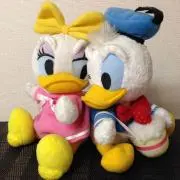 ガジュマル＊プロフ必読の画像