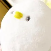 モコ