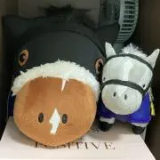 ぽんちゃんの画像