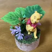 ハナミヅキ75の画像