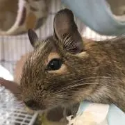 S (コメントやメッセージなくてもOK)の画像