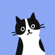 SYAAの画像