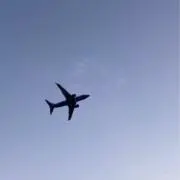 翠の画像